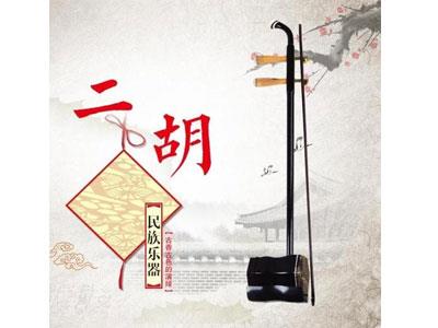 招聘遵义二胡家教老师